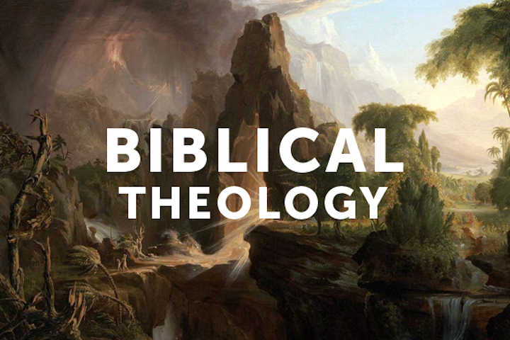 CF519 Biblical Theology