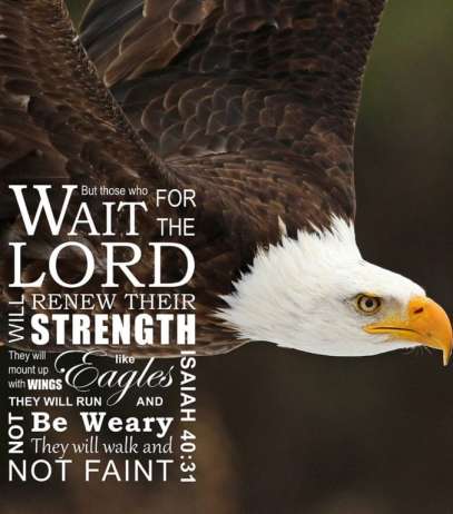 WhatsApp Image 2026-04-04 at 7.55.44 AM